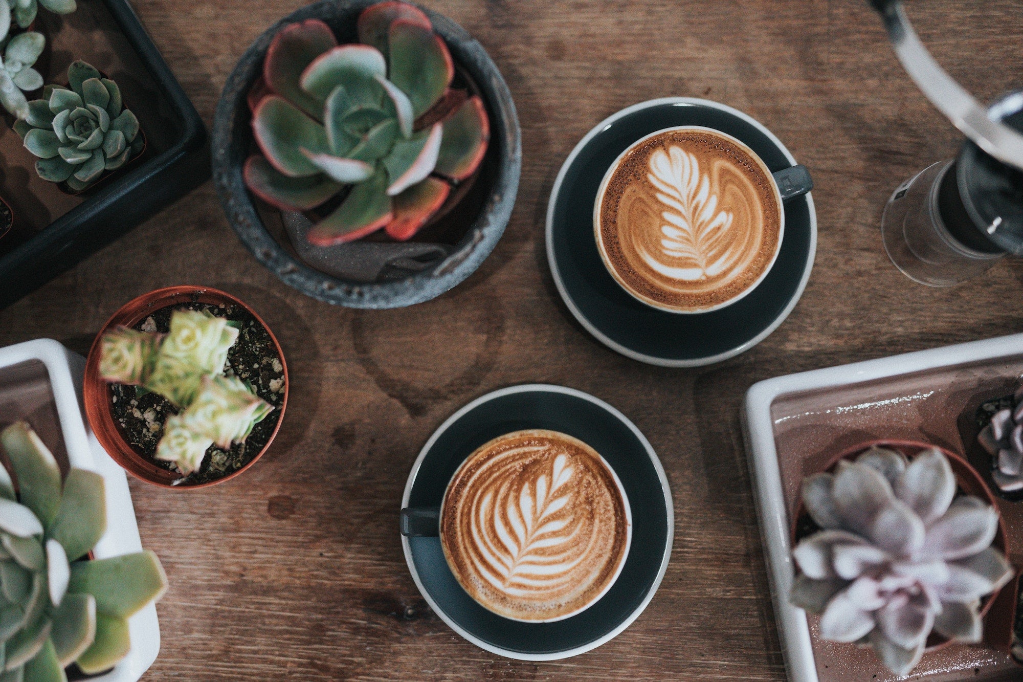 Prufrockcoffee.com - The Exploded Bean To Cup Barista Equip Australia