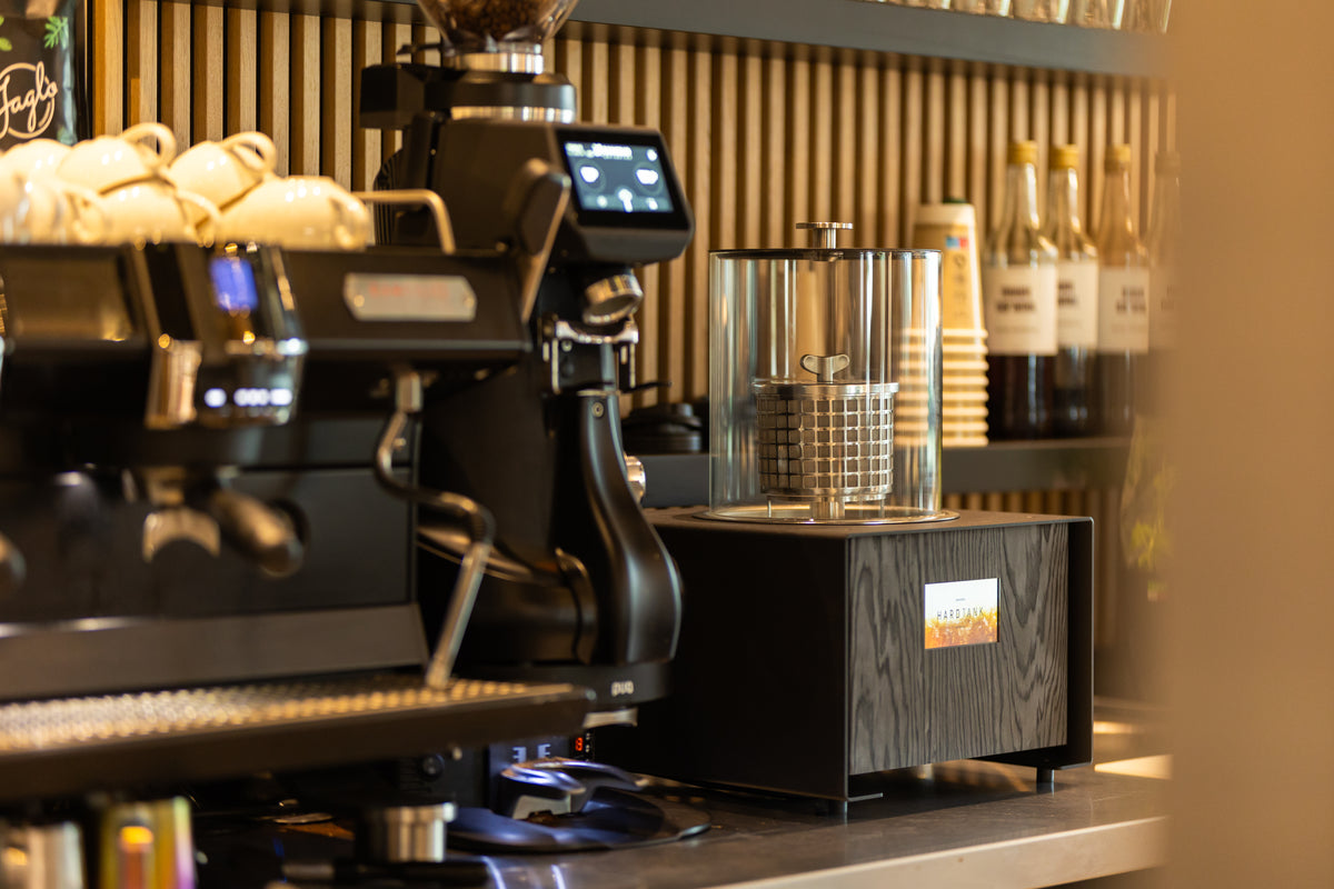 Baby Hardtank brewing cold brew beside an espresso machine on a cafe counter