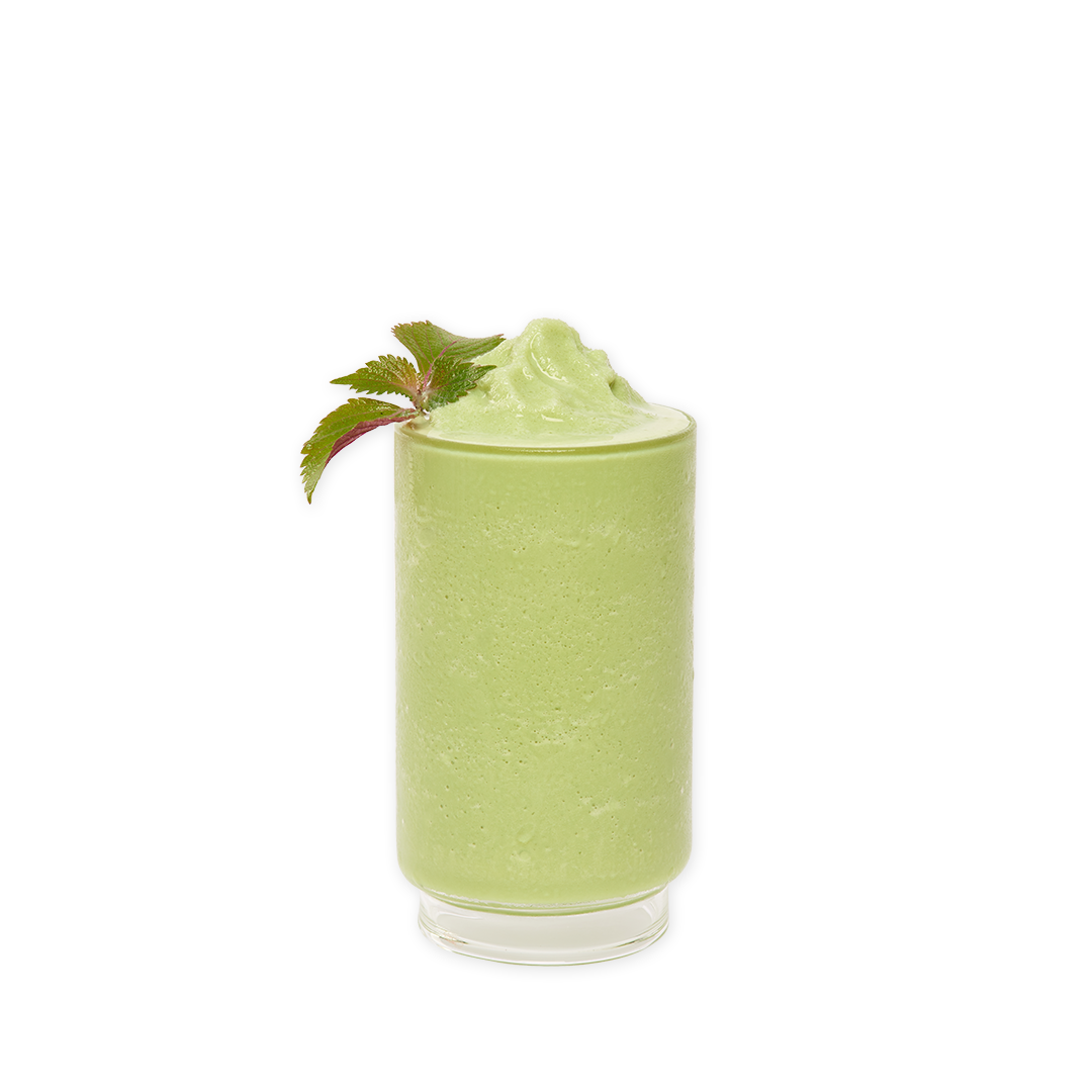 Bon Accord Matcha Green Tea Premium Multipurpose Base 1kg Bon Accord